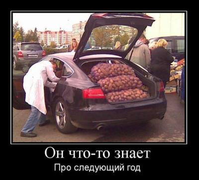 Прикрепленное изображение: 11.jpg